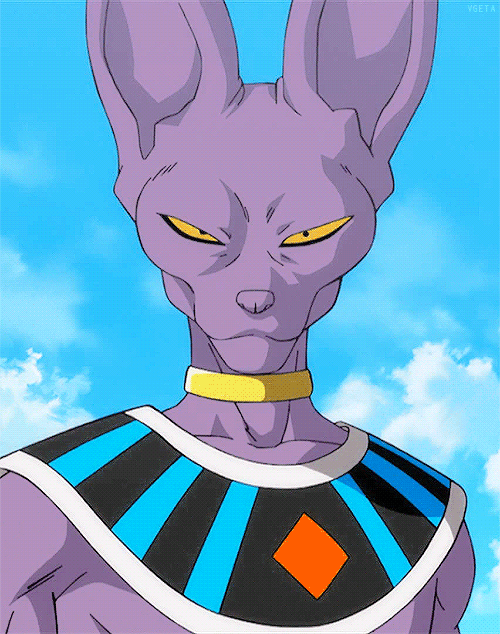 The Brothers of Destruction — You know lord beerus I think you have a ...