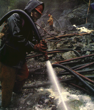 Exxon Valdez Oil Spill Case Study