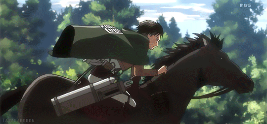 levi on horse figure