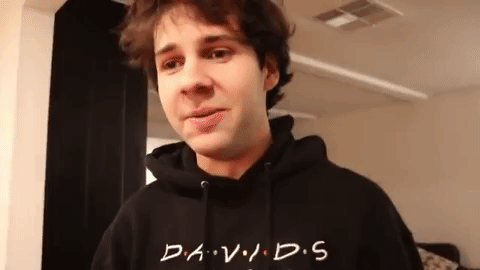 david dobrik friends hoodie