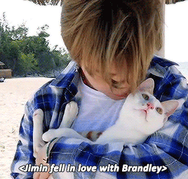 HKPOP — yoonmin: animal lover